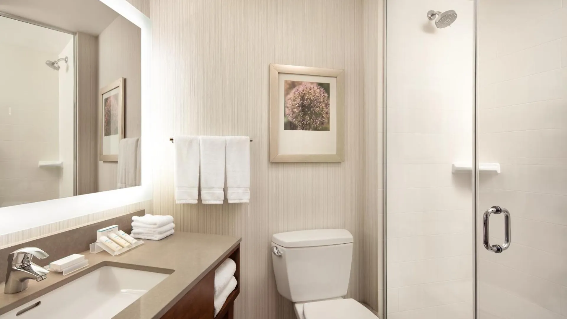 Hilton Garden Inn Long Island City New York United States