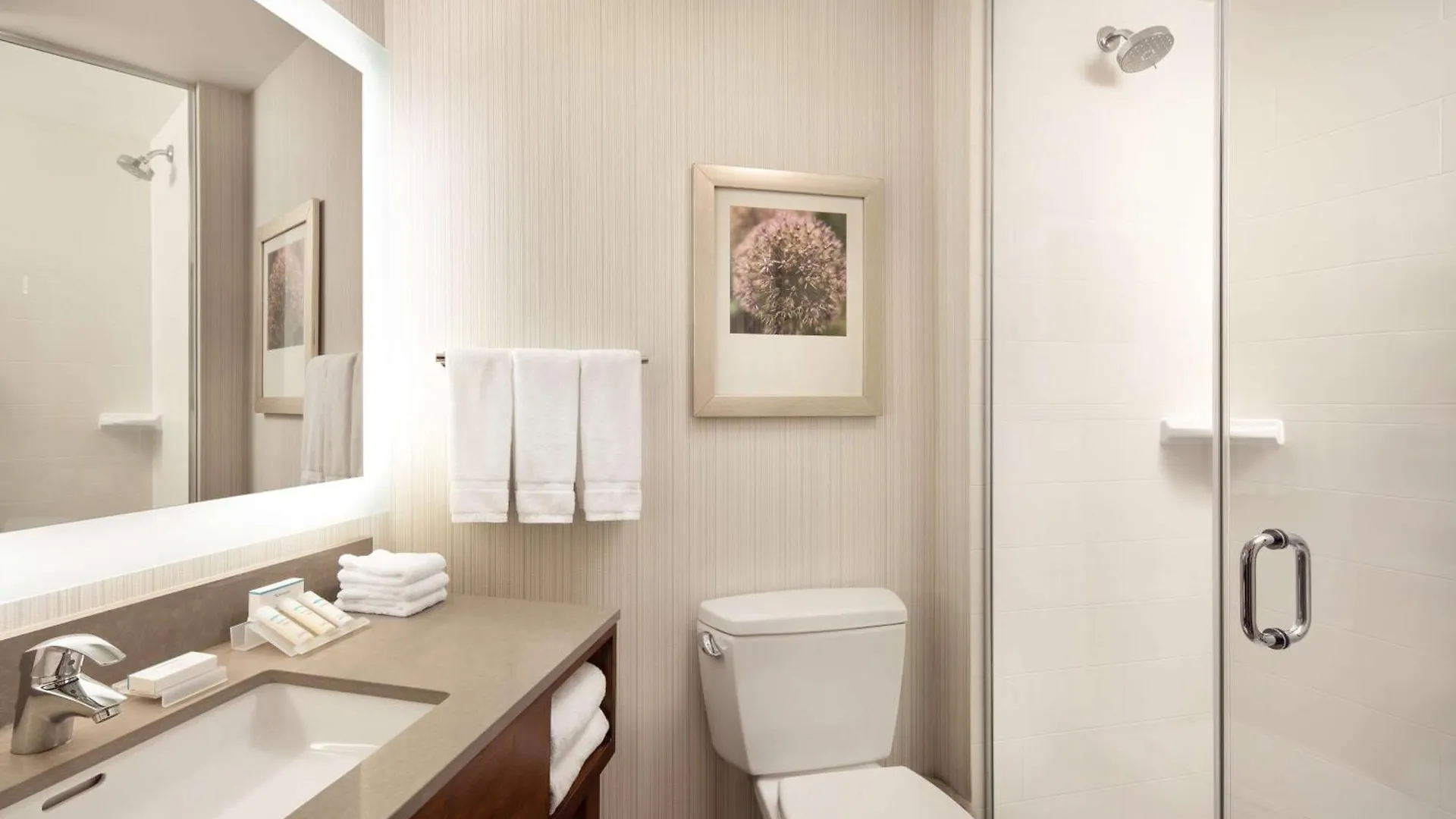 Hotel Hilton Garden Inn Long Island City New York
